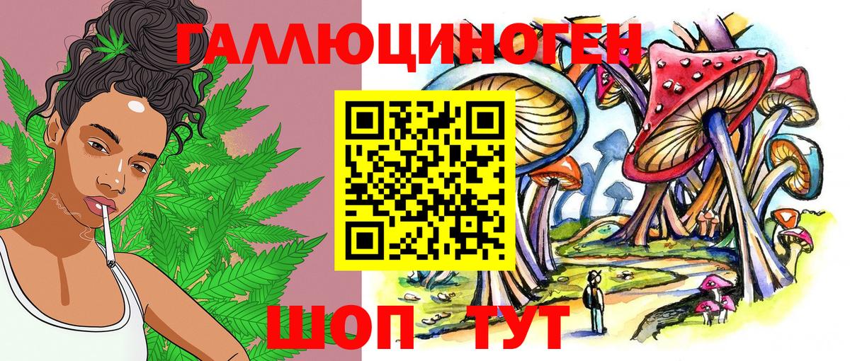 Галлюциногенные грибы Psilocybine cubensis  Вход с VPN  Партизанск 